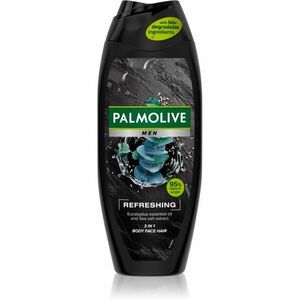Palmolive Men Refreshing sprchový gél pre mužov 2 v 1 500 ml vyobraziť