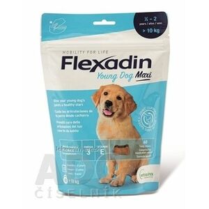 Flexadin Young Dog Maxi žuvacie tablety pre psov 1x60 ks vyobraziť