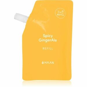 HAAN Hand Care Spicy GingerAle čistiaci sprej na ruky s antibakteriálnou prísadou náhradná náplň 100 ml vyobraziť
