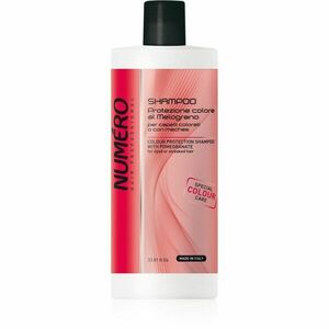 Brelil Numéro Colour Protection Shampoo šampón pre farbené vlasy 1000 ml vyobraziť