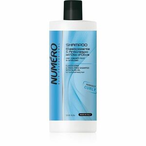 Brelil Numéro Elasticizing & Frizz-Free Shampoo šampón pre vlnité vlasy 1000 ml vyobraziť