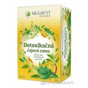 MEGAFYT Detoxikačná čajová zmes, 20x1, 5g vyobraziť