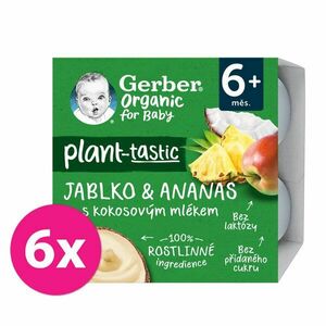 6x GERBER Organic 100% Dezert rastlinný jablko a ananás s kokosovým mliekom 4 x 90 g​ vyobraziť