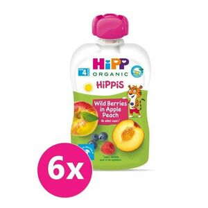 6x HiPP HiPPiS BIO 100% ovoce Jablko-Broskev-Lesní ovoce 100 g – ovocný příkrm vyobraziť