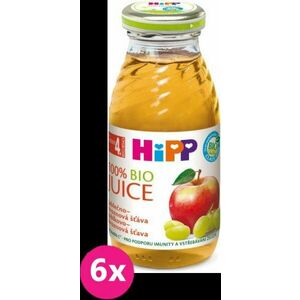 6x HiPP BIO Šťáva jablečno - hroznová (200 ml) vyobraziť