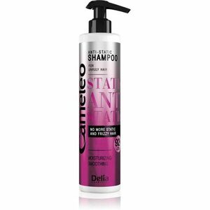 Delia Cosmetics Cameleo Anti Static vyhladzujúci šampón 250 ml vyobraziť