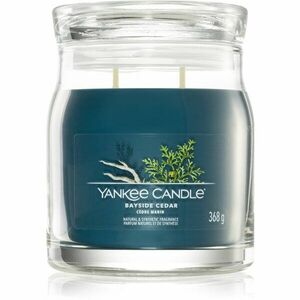Yankee Candle Bayside Cedar vonná sviečka I. 368 g vyobraziť