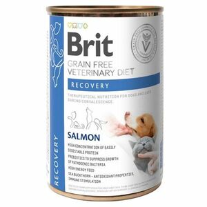 BRIT Veterinary diet grain free recovery pre psov a mačky 400 g vyobraziť