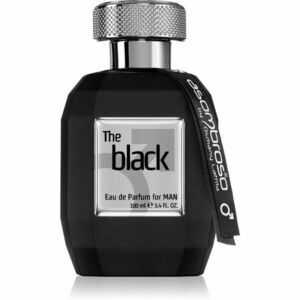 Asombroso by Osmany Laffita The Black for Man parfumovaná voda pre mužov 100 ml vyobraziť
