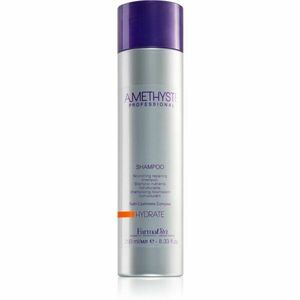 FarmaVita Amethyste Hydrate vyživujúci šampón pre suché vlasy 250 ml vyobraziť