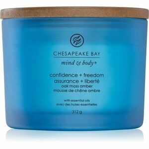 Chesapeake Bay Candle Mind & Body Confidence & Freedom vonná sviečka I. 312 g vyobraziť