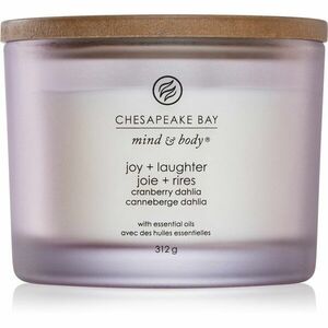 Chesapeake Bay Candle Mind & Body Joy & Laughter vonná sviečka I. 312 g vyobraziť