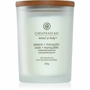 Chesapeake Bay Candle Mind & Body Peace & Tranquility vonná sviečka 250 g vyobraziť