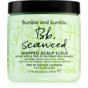 Bumble and bumble Seaweed Scalp Scrub vlasový peeling s extraktmi z morských rias s extraktmi z morských rias 200 ml vyobraziť