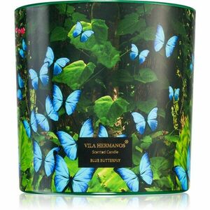 Vila Hermanos Jungletopia Blue Butterfly vonná sviečka 620 g vyobraziť