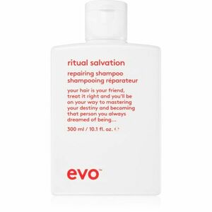 EVO Repair Ritual Salvation posilňujúci šampón pre poškodené a farbené vlasy 300 ml vyobraziť