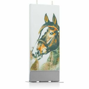 Flatyz Nature Horse dekoratívna sviečka 6x15 cm vyobraziť