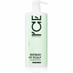 Natura Siberica ICE Professional Refresh My Scalp čiastiaci detoxikačný šampón 1000 ml vyobraziť