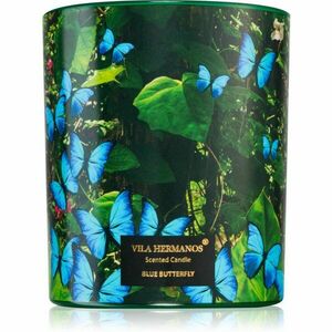 Vila Hermanos Jungletopia Blue Butterfly vonná sviečka 200 g vyobraziť