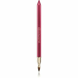 Collistar Professional Lip Pencil dlhotrvajúca ceruzka na pery odtieň 113 Autumn Berry 1, 2 g vyobraziť