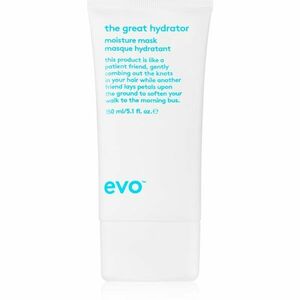 EVO Hydrate The Great Hydrator hydratačná maska pre lesk suchých a lámavých vlasov 150 ml vyobraziť
