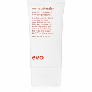 EVO Repair Mane Attention hĺbkovo hydratačná maska pre poškodené a farbené vlasy 150 ml vyobraziť