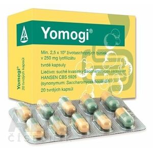 Yomogi cps dur 250 mg (blis.PVC/PE/PVDC/Al) 1x20 ks vyobraziť