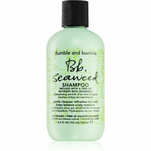 Bumble and bumble Seaweed Shampoo šampón pre vlnité vlasy s výťažkami z morských rias 250 ml vyobraziť