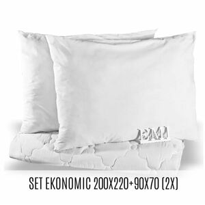 EMI Set manželskej prikrývky a vankúšov Ekonomic 220x200 + 90x70 (2x) vyobraziť