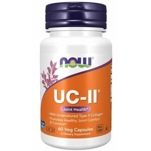 UC-II® Typ II Kolagén - NOW Foods, 60cps vyobraziť