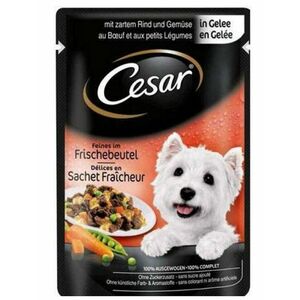 CESAR kapsička dog jemné hovädzie so zeleninou pre psy 24x100g vyobraziť