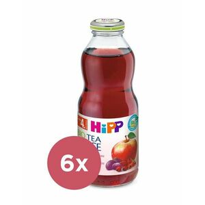 6x HiPP BIO Šípkový čaj se šťávou z červených plodů 500 ml vyobraziť