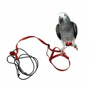 Traky pre papagáje červené M vyobraziť