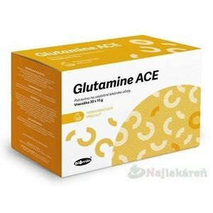 Glutamine ACE pomarančová príchuť vrecúška 30x15 g vyobraziť