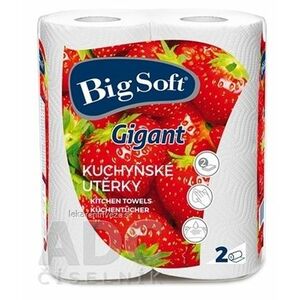 Big Soft Gigant Papierové kuchynské utierky kotúče 1x2 ks vyobraziť