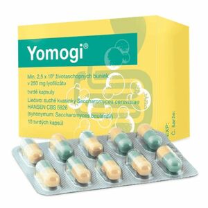 Yomogi cps dur 250 mg 10 ks vyobraziť