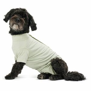 BUSTER Body Suit Step'n Go Dog Oblečok pre psov zelený 1 ks, Veľkosť: XS vyobraziť
