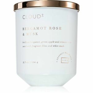 DW Home Cloud Bergamot Rose & Musk vonná sviečka 104 g vyobraziť