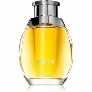 Swiss Arabian Khateer parfumovaná voda pre mužov 100 ml vyobraziť
