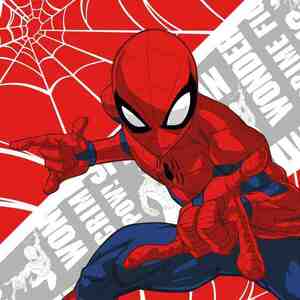 FARO Detský uterák Spiderman 30x30 cm vyobraziť