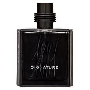 Cerruti 1881 Signature parfémovaná voda pre mužov 100 ml vyobraziť
