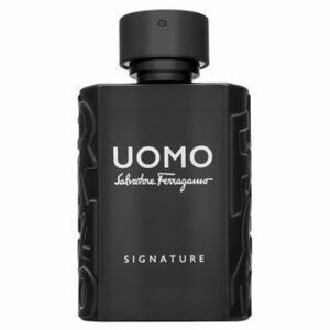 Salvatore Ferragamo Uomo Signature parfémovaná voda pre mužov 100 ml vyobraziť