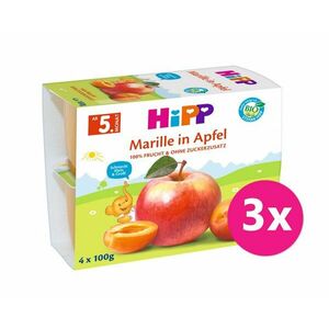 6x HiPP BIO Jablko-Broskyňa-Mango-Ananás + zinok 100 g, od 1 roka vyobraziť