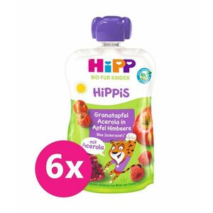 6x HIPP BIO HiPPiS Jablko-Maliny-Granátové Jablko-Acerola 100 g, od 1 roka vyobraziť