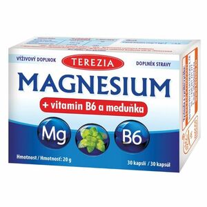 TEREZIA Magnesium + vitamín B6 a medovka 30 kapsúl vyobraziť