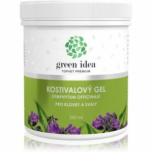 Green Idea Topvet Premium Kostivalový gel masážny gél na svaly a kĺby 250 ml vyobraziť