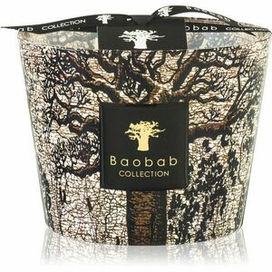 Baobab Collection Sacred Trees Morondo vonná sviečka 10 cm vyobraziť
