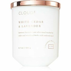 DW Home Cloud White Cedar & Lavender vonná sviečka 104 g vyobraziť