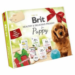 BRIT Care Box Dog Puppy Healthy Delicious darčekový box pre šteňatá 2023 vyobraziť