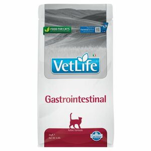 VET LIFE Natural Gastrointestinal granule pre mačky, Hmotnosť balenia (g): 2 kg vyobraziť